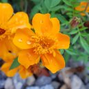 서광자연 이미지