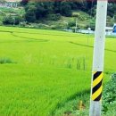 창신상사 이미지