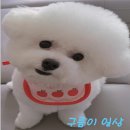 옥천산방라온 이미지