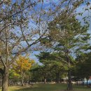 두왕로L 이미지