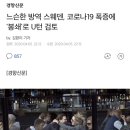 집단면역 스웨덴, 코로나19 폭증에 "봉쇄"로 U턴 검토 이미지