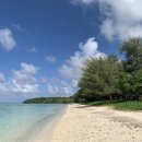 파우파우 이미지