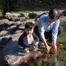 손자농장 이미지