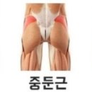 힙썸
