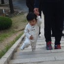 법기로 티스토리