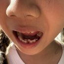 라스어린이치과의원 이미지