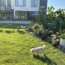 콩이네하우스 이미지