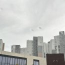 칼리오페 | 용인 대형카페 &#39;칼리오페&#39; 주차 메뉴 내돈내산 방문후기