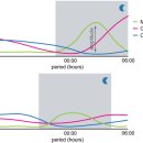 노인정 옆 이미지