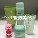 한율 | 한율 어린쑥 라인 내돈내산 후기, 사다 보니 화장대 점령