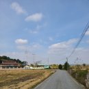 신금1길 이미지