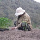 구적골농원 이미지