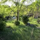 연곡초 삼산분교장 이미지