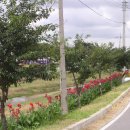 홍주약국 이미지