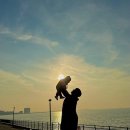 씨하이호텔(씨하이모텔) 이미지