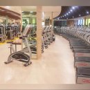 더핌커뮤니티