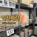 늘푸른유정란농장 | 신선한 달걀 합리적인 가격 가좌동 <인천계란> 유정란 왕란 추천 후기
