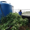 병찬농장 이미지