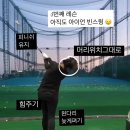 2025년 5월 1주 일상
