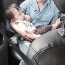 샘골장어 이미지