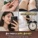 달다리한상회 | 피크노제놀 효과 있을까? 직접 먹어본 한달 리얼 후기 (다리붓기·혈액순환)