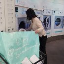 워시엔조이포항 이미지