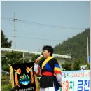 금진초등학교 이미지