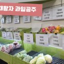 경상도과일야채