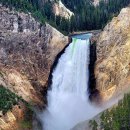 썸(Thumb) | 옐로스톤 로드트립: 두근거리는 봄, 신혼부부를 위한 완벽 가이드