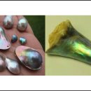 (주)남양수지 이미지