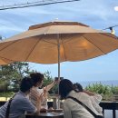 팜랜드동물병원 | 25년 제주도 여행기록