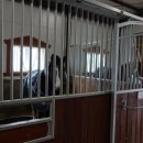 덕소 승마클럽 이미지