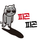 나오스덴트