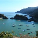 흑산 진리당 이미지