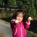 엔젤레스 이미지