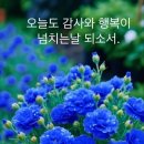 오늘운동 이미지