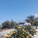 문개항아리펜션 이미지