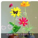좋은 글귀의 인사말 gif 이미지 이미지