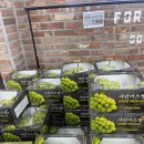 주)다담리테일운남점 | 광주 운남동 GRAND OPEN 행사 2/4~18 ㅣ다담식자재마트 운남점