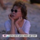윤식당 이미지