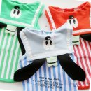 구피애견 이미지