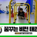 비전 태권도장 이미지