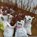 무내미농장 이미지