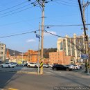 광양동물메디컬센터 | [광양동물메디컬센터] 전남광양 고양이 동물병원 방문 후기