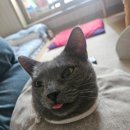 비나인동물병원 이미지