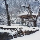 건봉사샘터 | [신문기사] 마음 비우러 가기 좋은 겨울 산사 도리사·건봉사·천은사