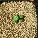 커피내음 이미지