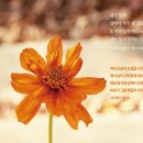 동행하는사람들 네이버블로그