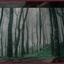 장호관광지 이미지