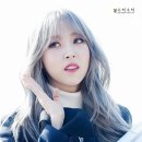 개이쁨 이미지